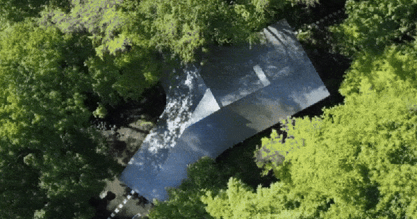 Nữ nghệ sĩ 65 tuổi bỏ phố vào rừng xây biệt thự, dựng "phòng đen" trên đất rộng 1.440m2, ở một mình với mèo