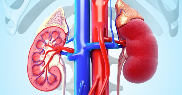 Người có thận khỏe thường chăm làm 4 việc này mỗi sáng: Ai thực hiện đủ thì xin chúc mừng!