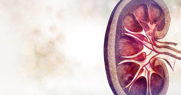 Ngủ dậy thấy 5 triệu chứng này, cẩn trọng vì có thể thận đang suy hỏng