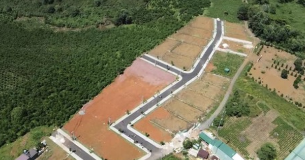 Công an TP HCM khởi tố vụ án lừa đảo tại Sam Group