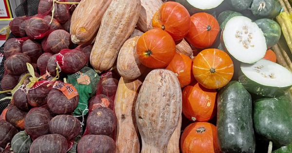 6 loại rau củ đừng mua mùa này