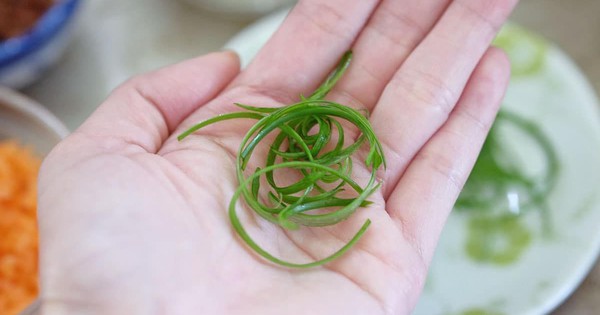 Người Việt có loại rau "nấu món gì cũng thơm" vài nghìn cả nắm nhưng ung thư miệng, thực quản, dạ dày nghe tên là SỢ