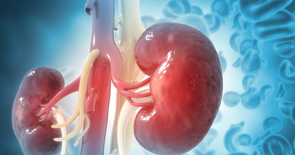 Người có thận yếu thường làm 4 việc này mỗi ngày: Ai mắc nên bỏ ngay!