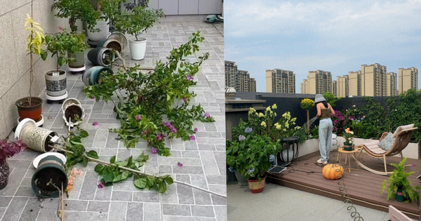 Penthouse – giấc mơ sang chảnh biến thành “địa ngục trên cao”: Tôi đã sống và hối hận!