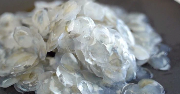 4 thứ "bỏ đi" hóa ra lại là "vàng ròng", nhiều người Việt biết thì tiếc hùi hụi