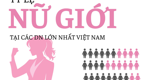 "Đế chế" của ông Phạm Nhật Vượng chỉ có 37,3% nhân sự nữ nhưng các nữ tướng chiếm 59%, ngân hàng là "thánh địa" của giới nữ ngoại trừ Sacombank