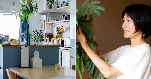 Ở một mình mà vẫn vui: Căn hộ 55m² giúp cô gái 32 tuổi tận hưởng hạnh phúc từng ngày