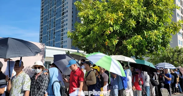 Cảnh dòng người đội nắng xếp hàng mua 300 căn hộ nhà ở xã hội