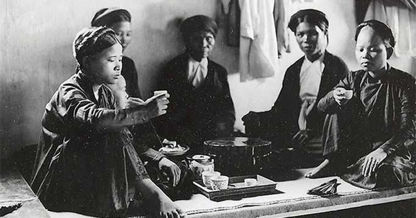 Đặc sản đắt nhất thế giới 30 tỷ/kg, Việt Nam có loại tương tự, ngon không kém và cực kỳ phải chăng