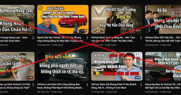 Vingroup: Sẽ kiện tới cùng, Lê Trung Khoa chỉ là bước khởi đầu, sắp tới sẽ có nhiều vụ kiện nữa ở Đức, Mỹ, Canada