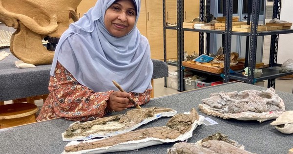 Quái vật 80 triệu tuổi "trỗi dậy" ở Ai Cập