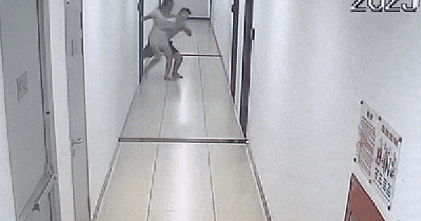 Hà Nội: Chồng đánh vợ thủng màng nhĩ, chấn động não ngay trước mắt hàng xóm