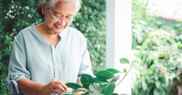 Về già, dù giàu hay nghèo, giữ được 4 điều này mới là may mắn nhất