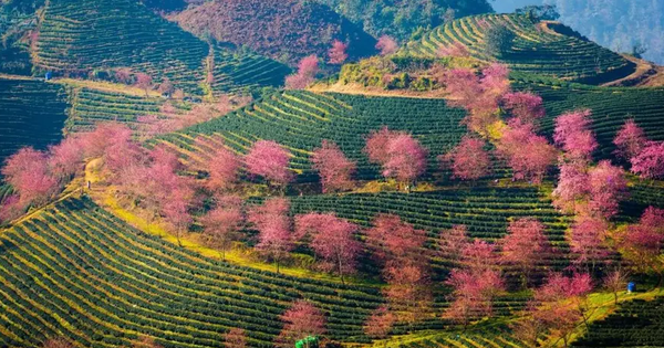 Thành viên Ecopark làm Khu đô thị sinh thái 2.400 tỷ đồng ở Sa Pa