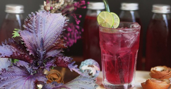 Có nên uống nước lá tía tô mỗi ngày để phòng và điều trị cúm A?