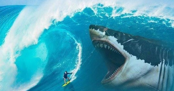 Chuyên gia: Đây là thời điểm chuẩn bị đón "sóng" năm 2026, 3 nhóm cổ phiếu sẽ hút tiền mạnh