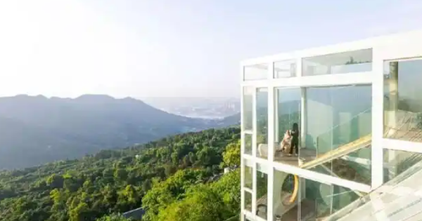 3 người bạn chung tiền xây nhà kính bên vách núi, cùng nhau dưỡng già: Gian nan khởi nghiệp trở thành ký ức ấm áp, có nỗ lực có thành công