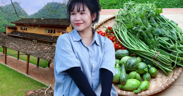 Cặp vợ chồng chi 3 tỷ xây nhà như cổ tích trên vùng núi Tuyên Quang: View triệu đô, 0 đồng rau củ