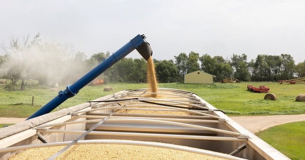 Bộ trưởng Mỹ bị ‘hớ’: Tuyên bố Trung Quốc sẽ mua 12 triệu tấn đậu nành đến cuối năm nhưng kết quả từ Bắc Kinh gây bất ngờ