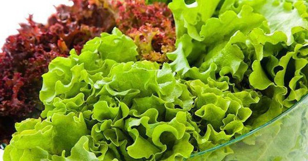 Một phụ nữ 33 tuổi ăn rau diếp mỗi bữa, 3 tháng sau phải nhập viện: Bác sĩ cảnh báo 3 nhóm người nên hạn chế ăn để tránh bệnh nặng