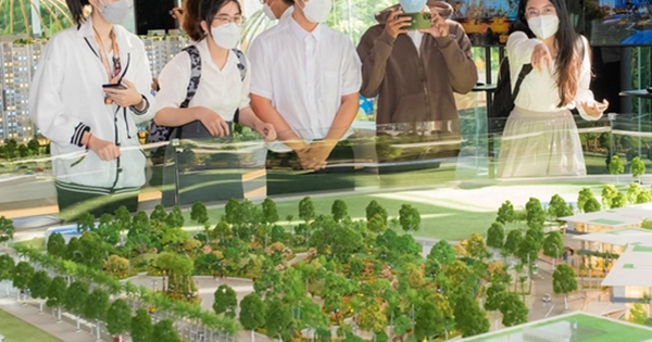 Từ 20/11, áp dụng mức lệ phí mới cho chứng chỉ môi giới bất động sản