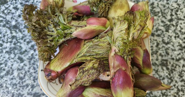 Loại rau người Trung Quốc ví là “cao lương mỹ vị số 1 thế giới”: Mọc hoang đầy Việt Nam, ít người biết