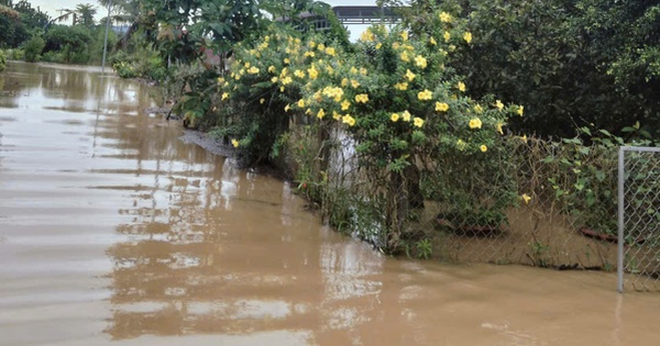 Mực nước trên sông Đồng Nai đang lên cao, cảnh báo ngập ở nhiều xã, phường