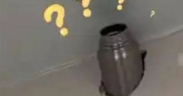 Cốc giữ nhiệt có thể phát nổ như bom nếu bạn cho những thứ này vào