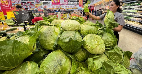 Giá rau tăng cao khiến nhiều người lo ngại: Phó giáo sư dinh dưỡng tiết lộ giải pháp bất ngờ