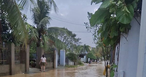 Mưa lớn trong đêm, nhiều khu vực phía Đông Gia Lai ngập trở lại