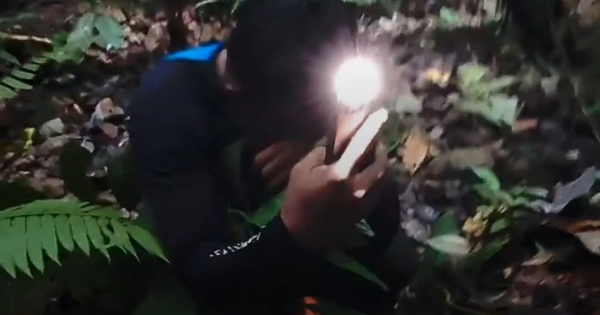 Phát hiện loài "hôi thối" nhưng quý hiếm nhất hành tinh, tưởng như sắp tuyệt chủng: Nhiều người bật khóc tại chỗ