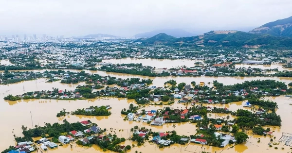 Hỏa tốc thông tin về việc miễn giảm thuế sau bão lũ