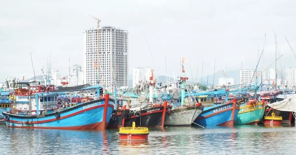 Khánh Hòa cấm biển từ 7 giờ ngày 28/11 để ứng phó bão số 15