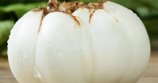 Mềm hơn khoai lang, bổ hơn khoai môn: Loại củ mùa đông vừa ra đã hot, ăn thường xuyên bổ thận, bổ phổi