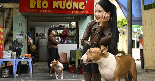 “Cậu Vàng” Mr.Gold ngoài đời, khách xếp hàng từ sớm để gặp chú chó “nuôi được cả chủ”