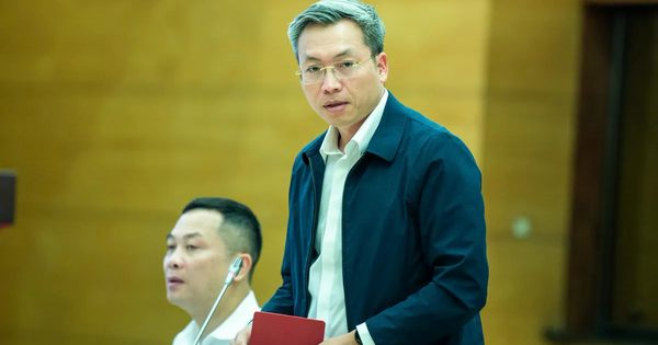 Kê biên hai tài sản hơn 320 tỷ của Hoàng Hường