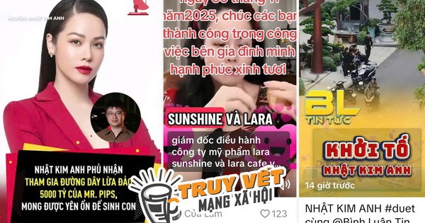 Facebook tick xanh Nhật Kim Anh đáp trả cộng đồng mạng