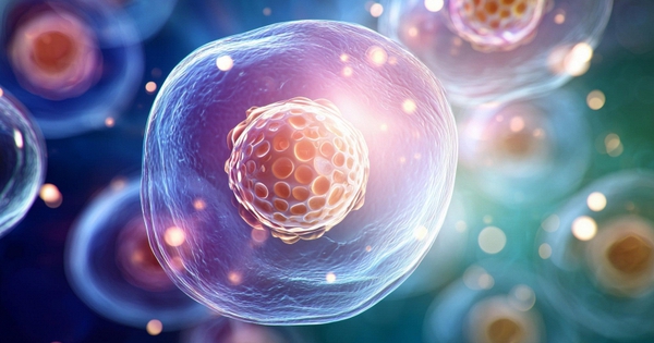 “Sạc lại” tế bào già yếu, hướng đi mới trong điều trị bệnh lão hóa