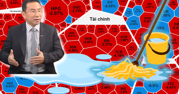 Chuyên gia lý giải nguyên nhân chứng khoán Việt Nam "sale off" 52 điểm ngày 12-12