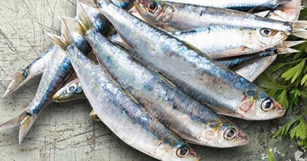 Chợ Việt có 4 loại cá sạch dễ mua, gần như không lo nhiễm kim loại nặng
