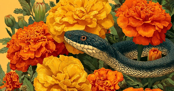 Tử vi 90 ngày tới: Ai nghèo cứ nghèo, riêng 3 tuổi này "trúng mánh" lớn, âm thầm phát tài khiến cả họ ngỡ ngàng