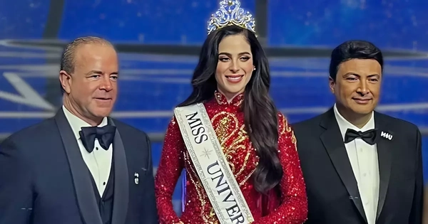 CEO Hoa hậu Hoàn vũ từ chức