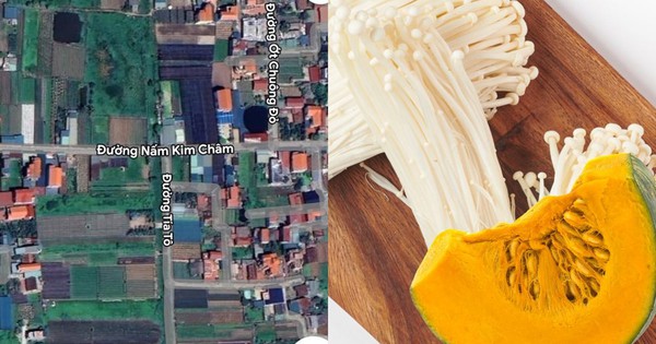 Kỳ lạ những con đường tên Nấm Kim Châm, Bí Đỏ,... tại Hà Nội