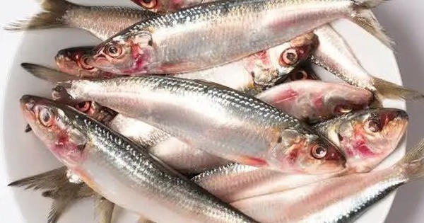 Loại cá nhìn quá đỗi bình thường ở chợ Việt là kho dinh dưỡng, bổ ngang "tổ yến nhân sâm", tiếc rằng ít người biết