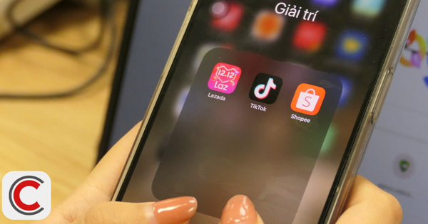 Các gian hàng Mall trên một sàn TMĐT có tới 14 triệu người chốt đơn chỉ trong ngày 12/12