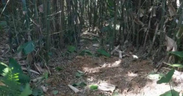 Đang đào giun thấy xẻng chạm phải vật cứng, lão nông dân run rẩy phát hiện kho báu nặng 30kg ngàn năm tuổi còn nguyên vẹn