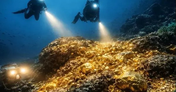 Phát hiện mỏ vàng khoảng 562 tấn: Chính quyền lập tức phong tỏa toàn khu vực