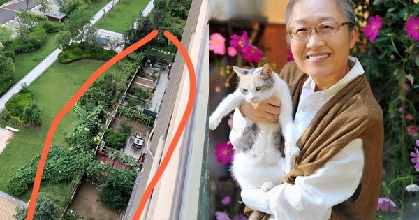 Sau 5 năm sống ở tầng 24, mẹ tôi chuyển xuống tầng một và “sống lại”: Sự thay đổi khiến cả họ hàng bất ngờ