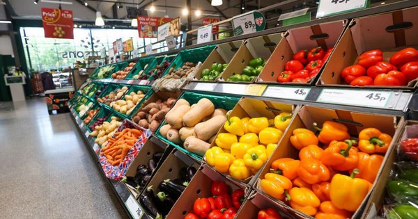 Loại rau nhiều vitamin C hơn cả chanh, báo Anh khen nức nở: Người Việt trồng lãi hàng trăm triệu