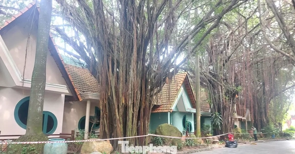 Cận cảnh hàng chục căn villa khu resort ở TPHCM bị phong tỏa vì nứt tường, sập trần